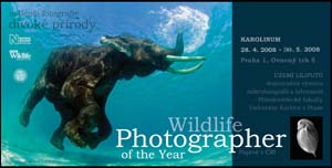 Wildlife Photographer of the   Year - Karolinum 29.4.-30.5.08