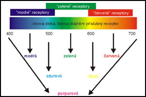 Barevné vjemy způsobené jednotlivými vlnovými délkami