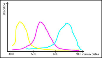 Absorpce ideálních a reálných barviv