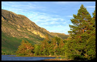 Krajina jezera Loch Maree