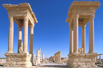 Palmyra