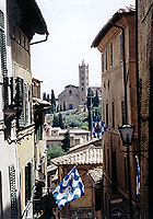 Siena