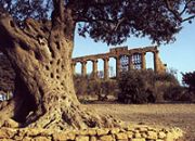 Agrigento