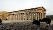 Segesta