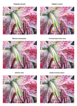 Některé běžné metody interpolace, reálný obrázek - zvětšeno 3x