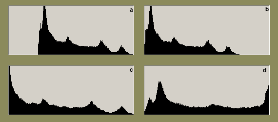 Histogramy