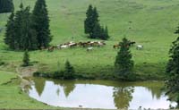 Planina Vărăsoaia