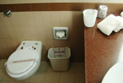 Toaletní papír je pro cizince, jinak se používá levá ruka a nádobka.