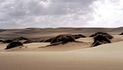 Oregonské duny