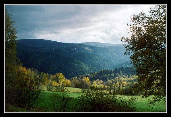 Petr Ježek: Šumava