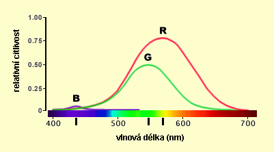 Spektrální citlivost čípků