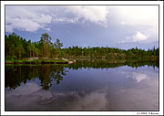 Norsko 1 - Skuleskogen