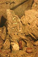 Orfeus