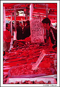 Norsko 6 - Rybí trh v Bergenu