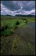 Mountains of Mourne