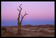 Namib desert