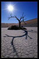 Namib desert