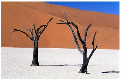 Namib desert