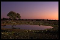 Etosha