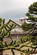 Punta Arenas - Fuerte Bulnes