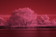 10D IR 3b (IR snimek)