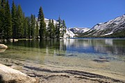 Yosemite - Tenaya Lake