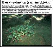 blesk4