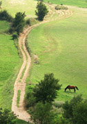 Krajina pod Svatou Helenou.