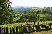 Krajina u vesnice Rovensko.