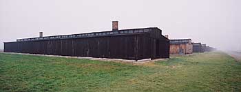 Osvětim 12