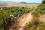 Výhled do krajiny od Necropoli dell Monte Essu