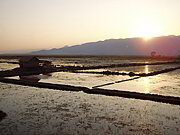 Západ slunce nad rýžovými políčky