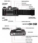 OM-3Ti