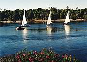 Bílé trojúhelníky štíhlých plachetnic plujících po tmavomodrém Nilu – obrázek charakteristický pro m