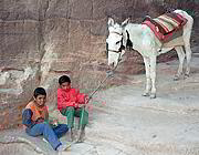Beduínští kluci se svým dopravním prostředkem