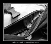 Honza Hlinák 05