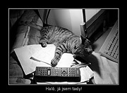 Honza Hlinák 08