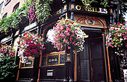 Pub O'Neills