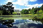 Powerscourt Gardens