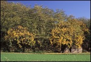 Berg – krajina v okolí