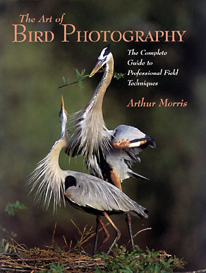 The Art of Bird Photography