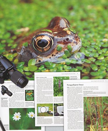 Ukázka z knihy Naučte se fotografovat dobře makro a detail