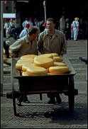 Nelehká práce sýrových dělníků