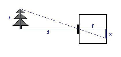 Lineární projekce