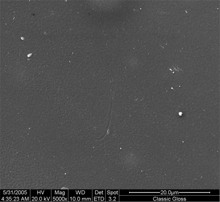 Obr. 6: SEM snímek vrstvy typu swellable polymer