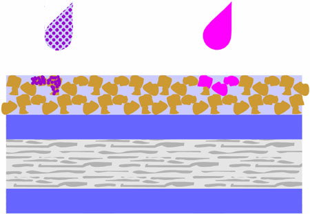 Obr. 7: Schéma průniku pigmentového a barvivového inkoustu do vrstvy typu microporous