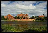 Tomášek - Malbork