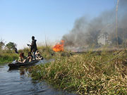 Požáry Okavango