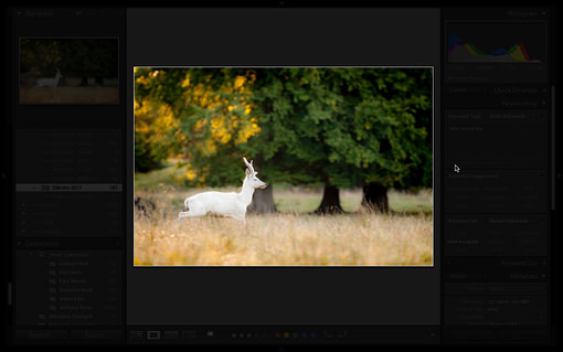 Lightroom v režimu ztlumení světel