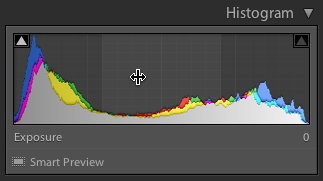 Histogram